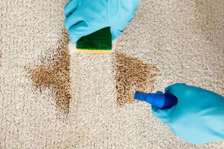 Why Regular Carpet Cleaning Extends The Life Of Your Carpets Justin, TX Why Regular Carpet Cleaning Extends The Life Of Your Carpets Justin, TX